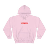 BEAST MODE SOFT STYLE HOODIE - Hike Beast Store
